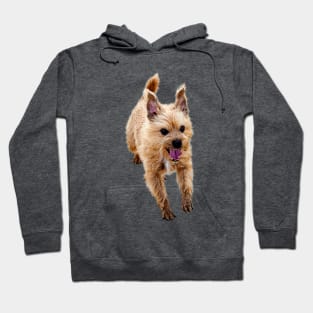 Buddy! Adorable Terrier Mix Hoodie